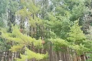 E10471 Pine Cir, Prairie Du Sac, WI 53578 - Photo 61