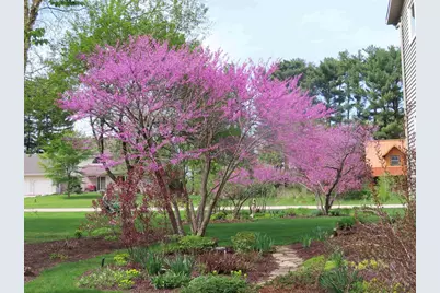 E10471 Pine Circle, Prairie Du Sac, WI 53578 - Photo 55