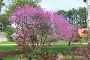 E10471 Pine Cir, Prairie Du Sac, WI 53578 - Photo 55