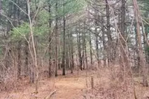 E10471 Pine Cir, Prairie Du Sac, WI 53578 - Photo 63