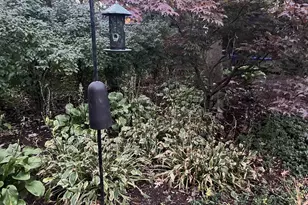 4521 Deerwood Dr, Madison, WI 53716 - Photo 9