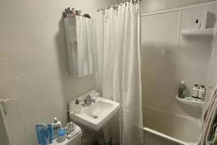 1054 Williamson St, Madison, WI 53703 - Photo 11