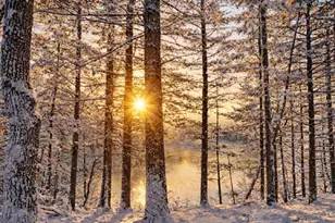 237 Oakbrook Dr, Wisconsin Dells, WI 53965 - Photo 79