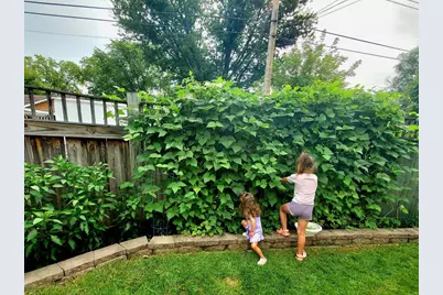 518 Church Street, Wisconsin Dells, WI 53965 - Photo 39