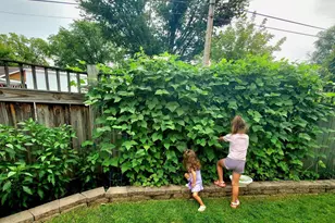 518 Church St, Wisconsin Dells, WI 53965 - Photo 39