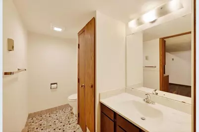 709 Hamilton Street, Mount Horeb, WI 53572 - Photo 29