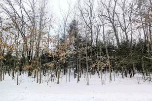 2423 9th Dr, Adams, WI 53910 - Photo 41