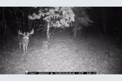 2423 9th Drive, Adams, WI 53910 - Photo 33