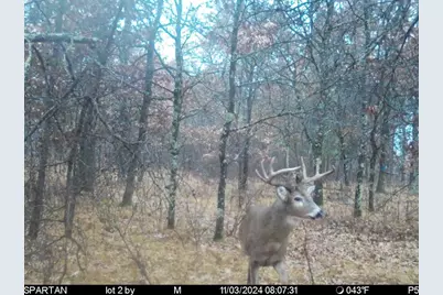 2423 9th Drive, Adams, WI 53910 - Photo 37