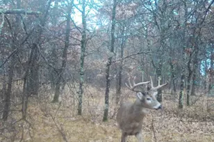 2423 9th Dr, Adams, WI 53910 - Photo 37