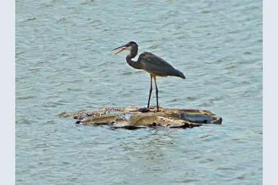 13 Wood Brook Way, Fitchburg, WI 53711 - Photo 41