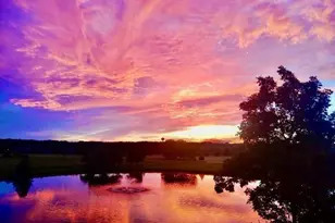 13 Wood Brook Way, Fitchburg, WI 53711 - Photo 45