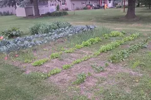 N3259 Hwy 49, Waupun, WI 53963 - Photo 51