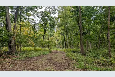 2222 County Road Y, Ridgeville, WI 53533 - Photo 9