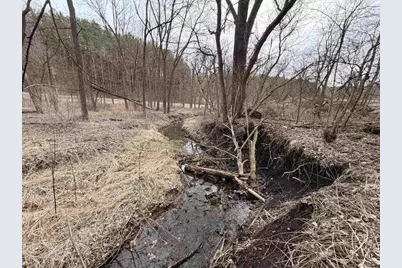 18050 Patch Hill Drive, Viola, WI 54664 - Photo 5