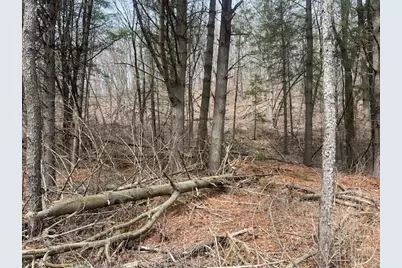 18050 Patch Hill Drive, Viola, WI 54664 - Photo 35