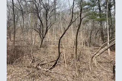 18050 Patch Hill Drive, Viola, WI 54664 - Photo 31