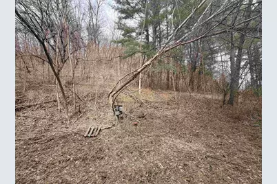 18050 Patch Hill Drive, Viola, WI 54664 - Photo 21