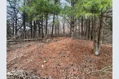 18050 Patch Hill Drive, Viola, WI 54664 - Photo 19