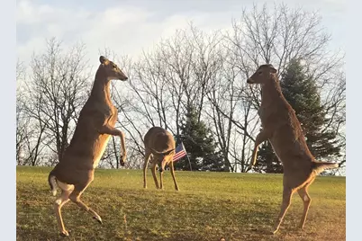 5438 Marie Road, Oregon, WI 53575 - Photo 65