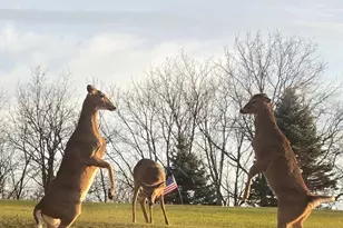 5438 Marie Rd, Oregon, WI 53575 - Photo 65