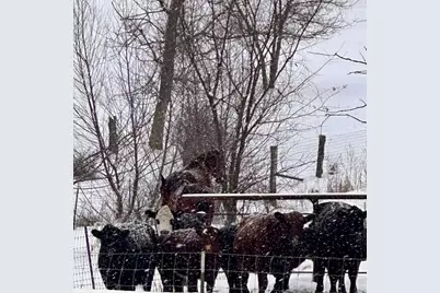 S6720 Eli Valley Road, Loganville, WI 53943 - Photo 67