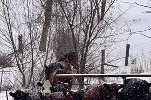 S6720 Eli Valley Rd, Loganville, WI 53943 - Photo 67