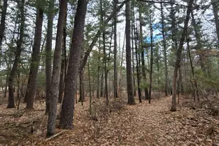 W8429 County Rd C, New Lisbon, WI 53950 - Photo 27