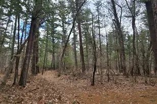 W8429 County Rd C, New Lisbon, WI 53950 - Photo 25