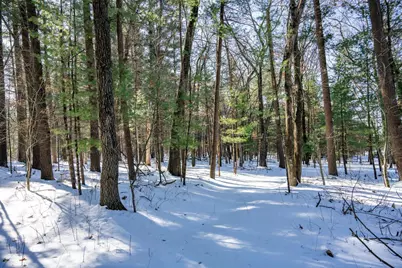 W8429 County Road C, New Lisbon, WI 53950 - Photo 13