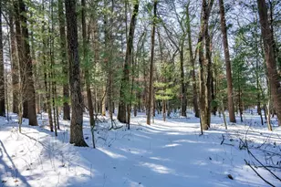 W8429 County Rd C, New Lisbon, WI 53950 - Photo 13