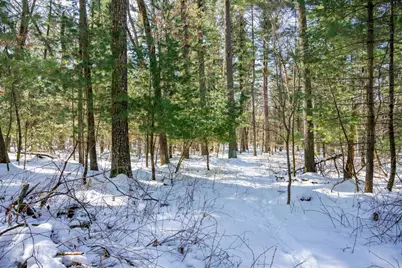 3.2 Acres County Road C, New Lisbon, WI 53950 - Photo 7