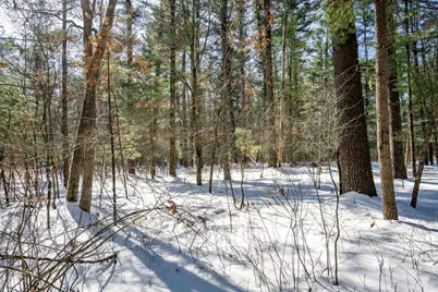 3.2 Acres County Road C, New Lisbon, WI 53950 - Photo 21
