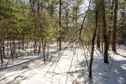 3.2 Acres County Road C, New Lisbon, WI 53950 - Photo 19