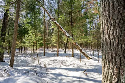 3.2 Acres County Road C, New Lisbon, WI 53950 - Photo 3