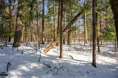 3.2 Acres County Road C, New Lisbon, WI 53950 - Photo 13