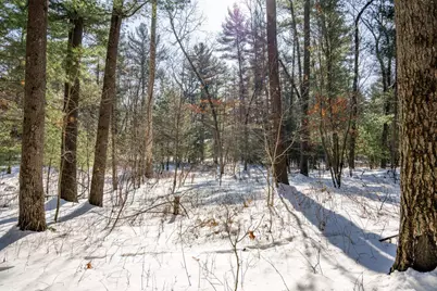 3.2 Acres County Road C, New Lisbon, WI 53950 - Photo 17