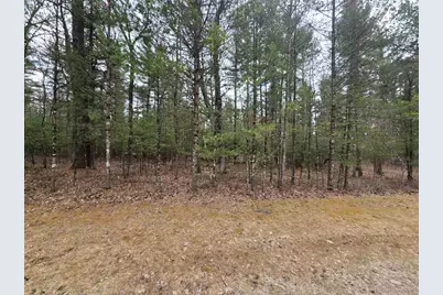 3.2 Acres County Road C, New Lisbon, WI 53950 - Photo 31