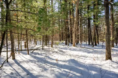 3.2 Acres County Road C, New Lisbon, WI 53950 - Photo 5