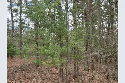 3.2 Acres County Road C, New Lisbon, WI 53950 - Photo 27