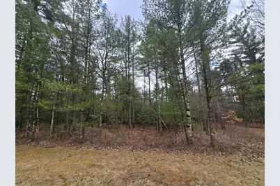 3.2 Acres County Road C, New Lisbon, WI 53950 - Photo 29