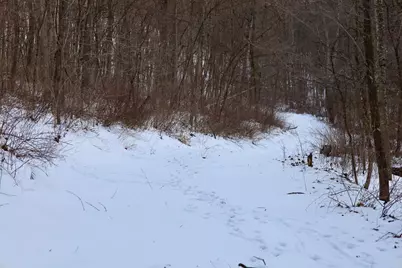 Tbd Wheat Hollow Road, Cazenovia, WI 53924 - Photo 33