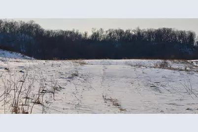 Tbd Wheat Hollow Road, Cazenovia, WI 53924 - Photo 29