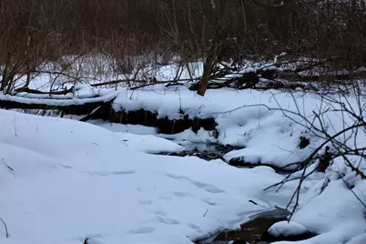 Tbd Wheat Hollow Road, Cazenovia, WI 53924 - Photo 27