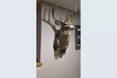 Tbd Wheat Hollow Road, Cazenovia, WI 53924 - Photo 45