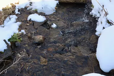 Tbd Wheat Hollow Road, Cazenovia, WI 53924 - Photo 21