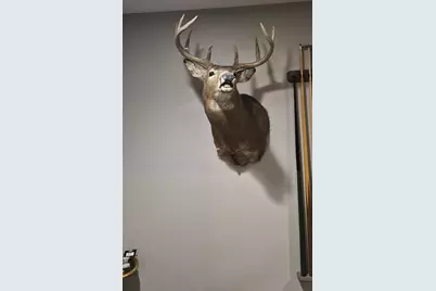 Tbd Wheat Hollow Road, Cazenovia, WI 53924 - Photo 47