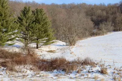 Tbd Wheat Hollow Road, Cazenovia, WI 53924 - Photo 23