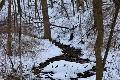 Tbd Wheat Hollow Road, Cazenovia, WI 53924 - Photo 35