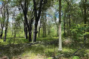 N9888 17th Ave, Necedah, WI 54646 - Photo 23